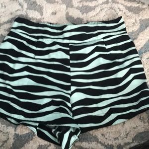 teal zebra print shorts